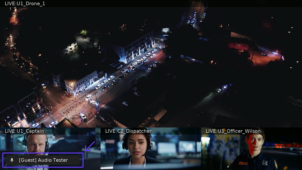 Audio insert example image