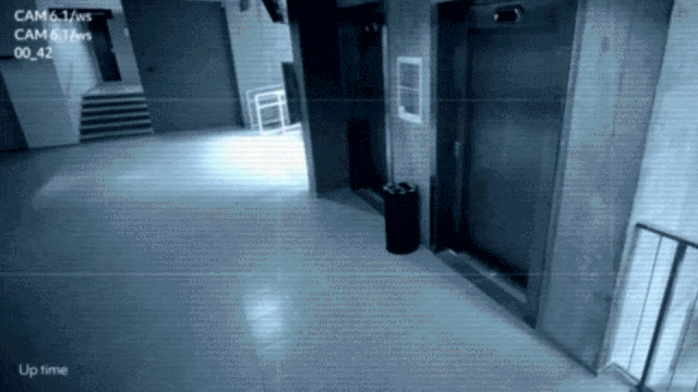 Object Detection